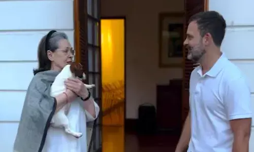 Rahul gandhi, little gift,  sonia gandhi, viral video,