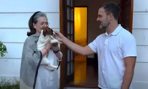 AIMIM, Rahul Gandhi, Noorie,  Mohammad Farhan