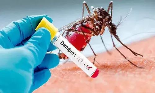 recover,  dengue,   drinks, health,