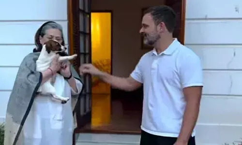 రాహుల్ గాంధీ కుక్క పేరుపై ఎంఐఎం నేతల గుస్సా