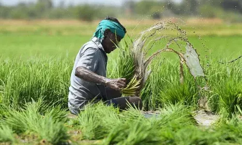 Telangana, farmers, central crop insurance, High Court, KCR Sarkar