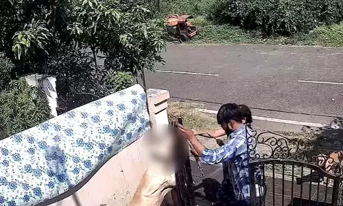 Bhopal, Madhya Pradesh, dog trainer