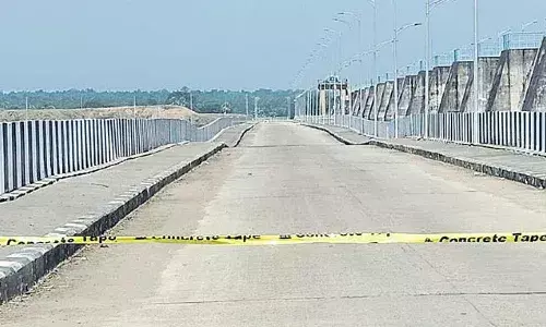 kaleshwaram, medigadda dam, central committee, six experts,