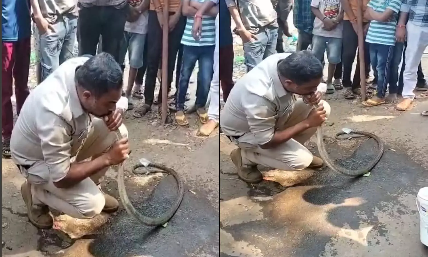 police-who-performed-cpr-on-a-snake-and-saved-its-life-video-viral