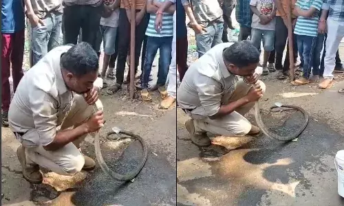 madhya pradesh, police conistable, cpr, revive, snake,