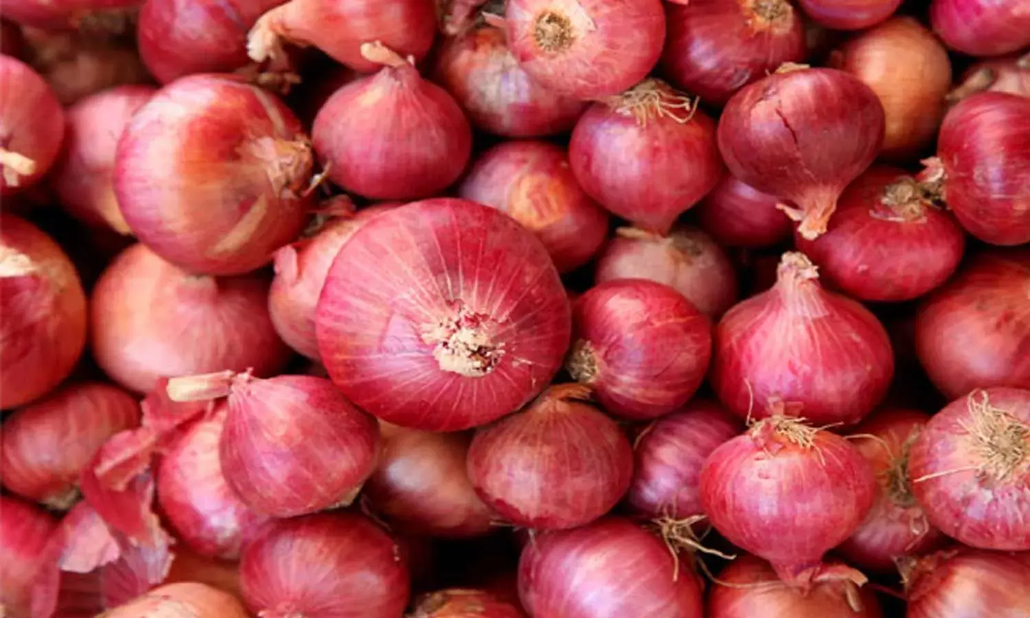 Onion price, Hyderabad, vegetables