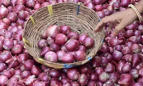 onion prices, increased,  telangana,  supply demand,