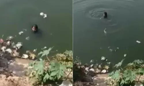Madhya Pradesh, man jumps into river, Sheopur