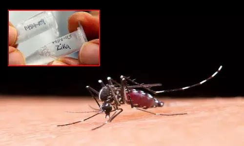 zika virus,  karnataka,   high alert,