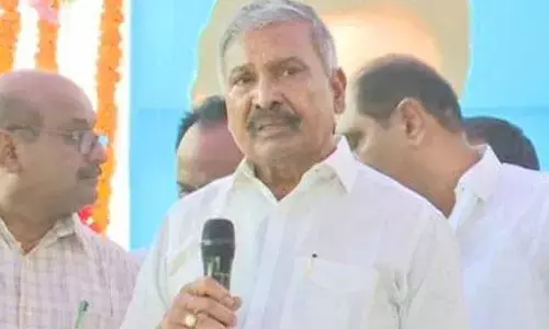 ఆమె టీడీపీ గౌరవాధ్యక్షురాలిగా పనిచేస్తున్నట్టుంది: మంత్రి పెద్దిరెడ్డి