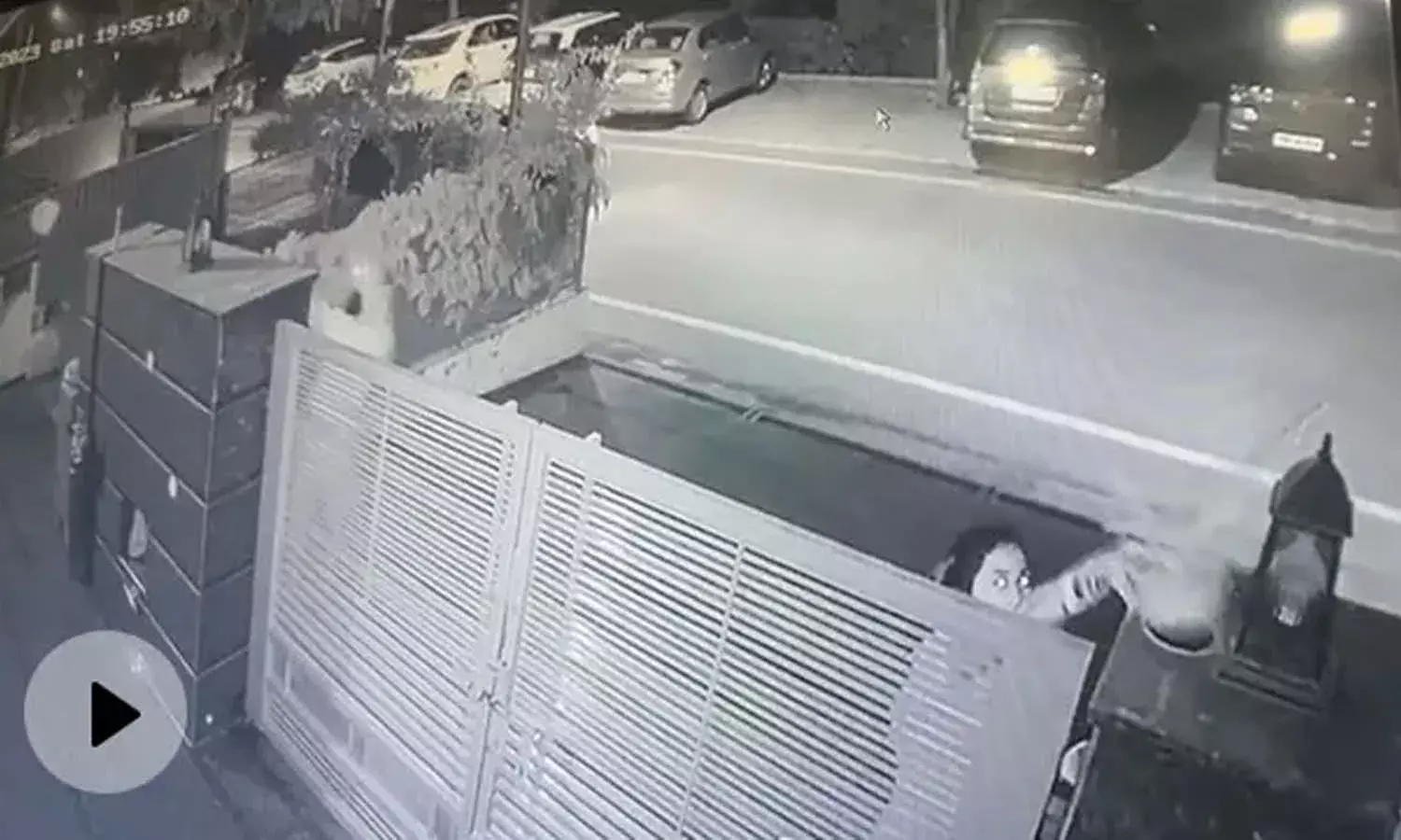Viral news, flower pots, Mohali, stealing flower pots