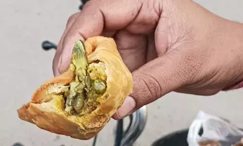 Dead lizard, samosa, Uttar Pradesh, sick