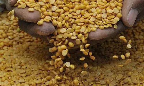 APnews, ration cards, Ration card holders, Kandi dal