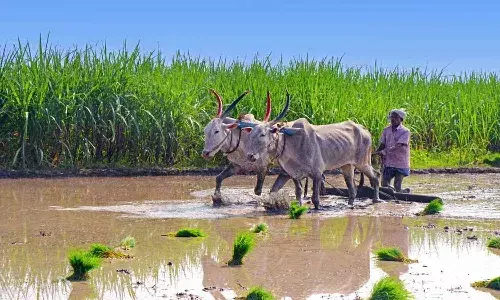 ‘రైతుబంధు’కు ఈసీ గ్రీన్ సిగ్నల్