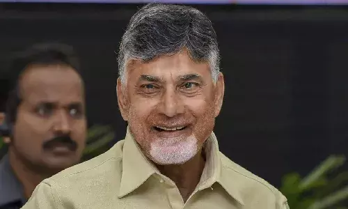 chandrababu naidu,  delhi tour, tdp,