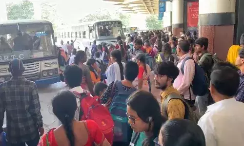 voters,  own villages,  telangana, elections  ,