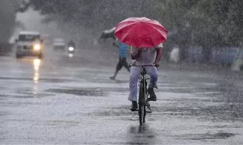 Rains, Telangana, IMD, TSDPS, Michaung
