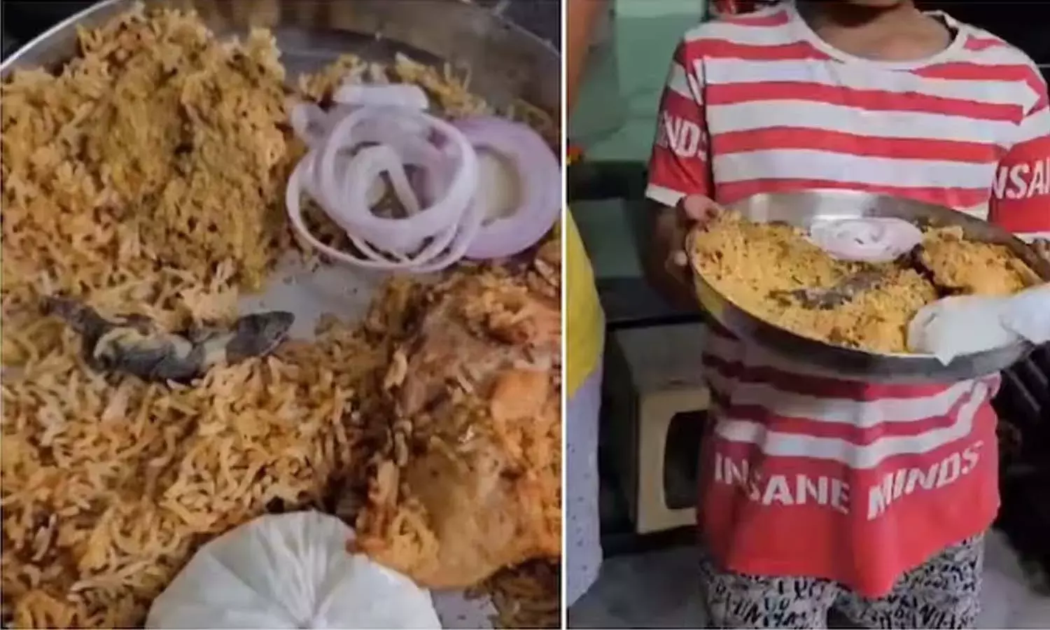 Lizard in biryani, restaurant, Hyderabad, GHMC