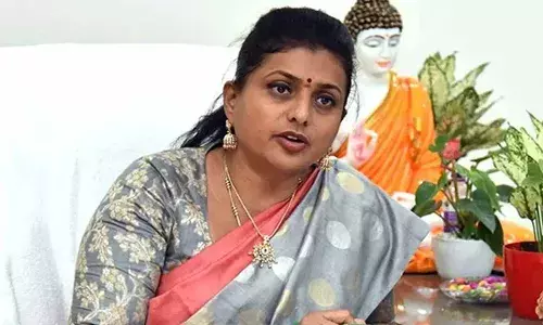 తెలుగు తమ్ముళ్లు ఓర్వలేకపోతున్నారు: మంత్రి రోజా