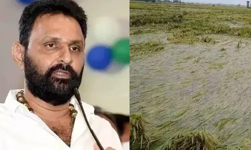 Compensation, farmers, Kodali Nani, APnews, CM Jagan