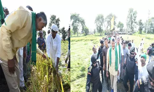 chandrababu, comments,  ycp govt, jagan,