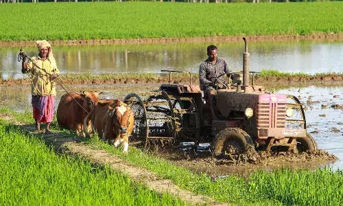 Crop investment money, Telangana, farmers, CM KCR
