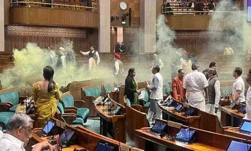 లోక్సభలో భద్రతా వైఫల్యం