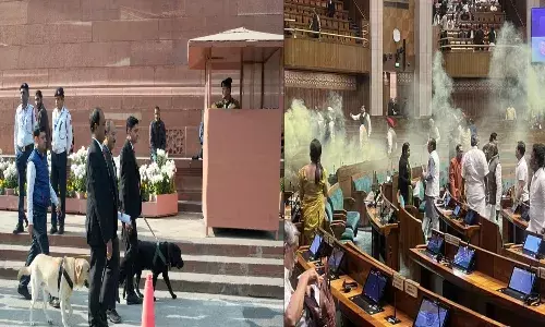parliament, security breach, tight security,