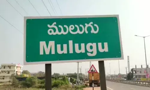 Central Tribal University, Mulugu, Telangana, Sammakka Sarakka University