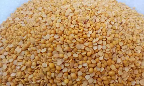 AP Govt, pulses, ration card holders, CM Jagan