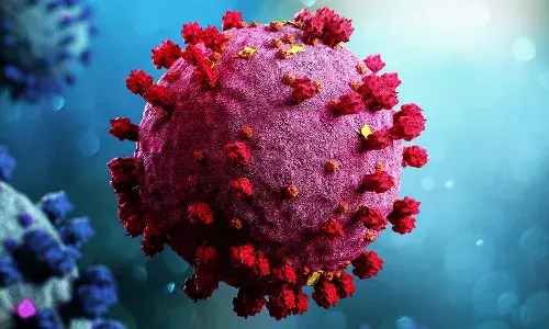 Corona cases, World Health Organization ,  Covid variant JN.1, Kerala