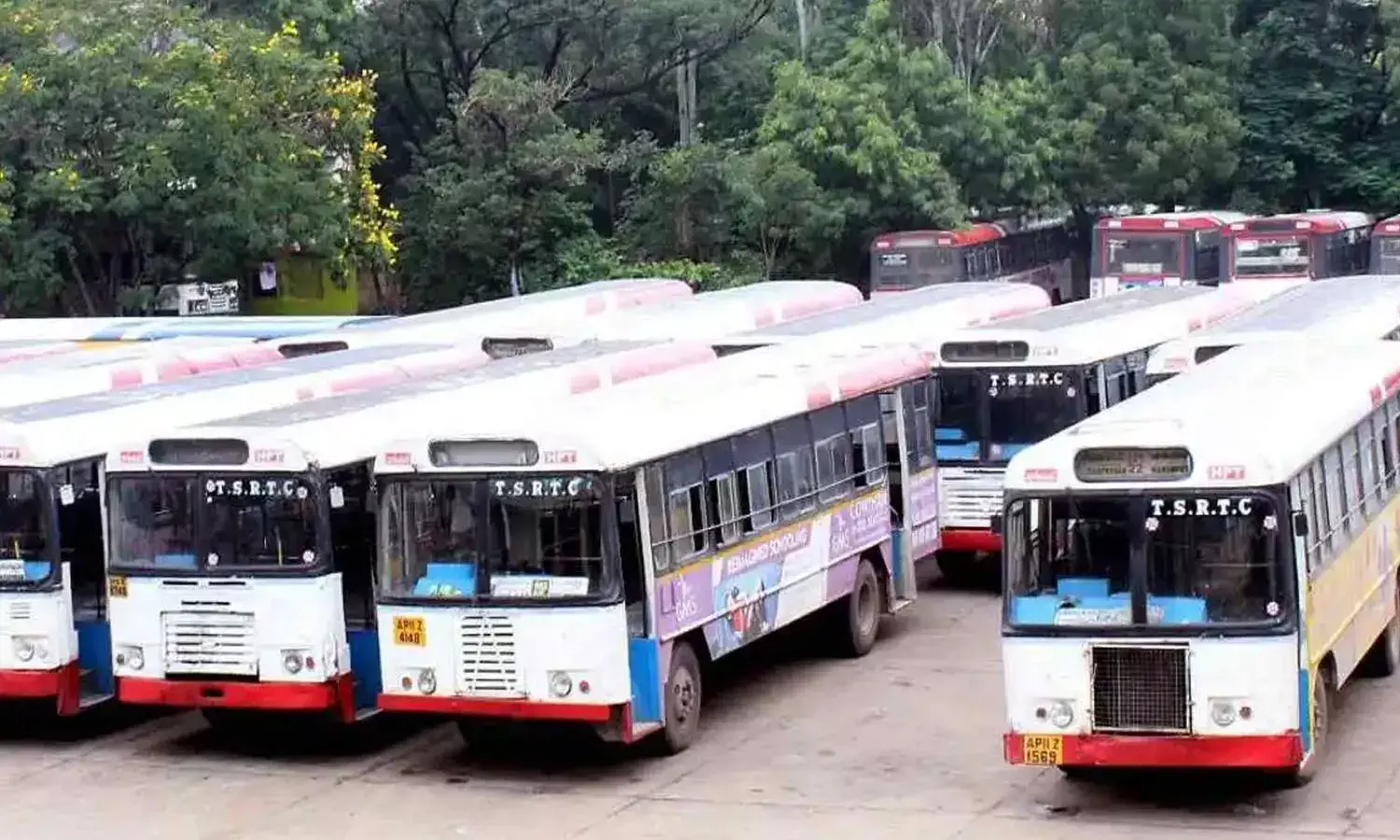 TSRTC, inviting applications,  supply city buses, md sajjanar,