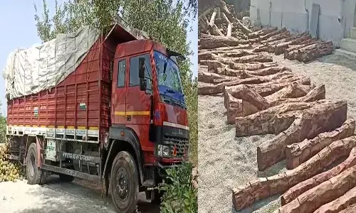 Smuggling, red sandalwood,  coconut bonds,