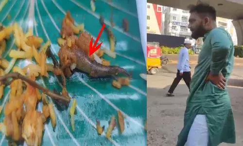 Lizard,  biryani, 8 people, sick, rajendranagar ,