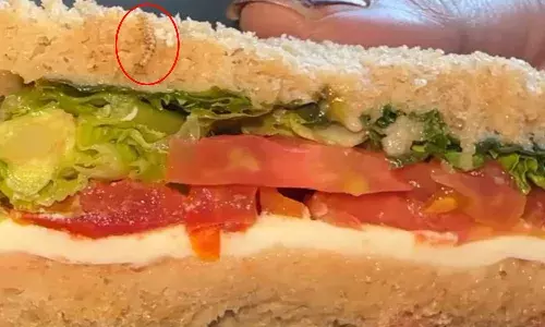 Indigo Airlines, live worm, sandwich ,