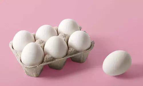 egg price, Telangana, Poultry