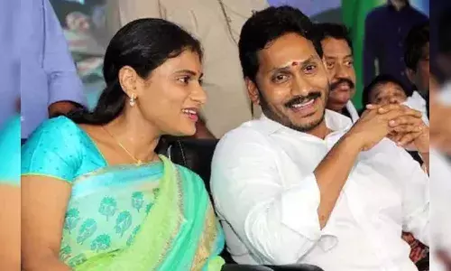 YS Sharmila, YS Jagan, APnews