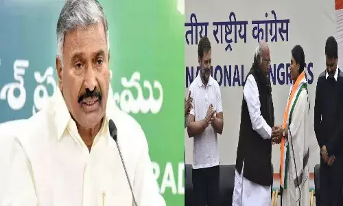 minister peddi reddy, comments,  sharmila,  congress,