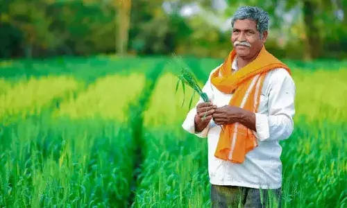 pm kisan samman nidhi yojana, loksabha elections, National news, Farmers