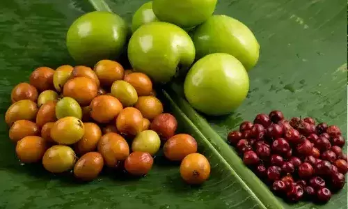 bhogi fruits, childrens, Sankranti festival, plums