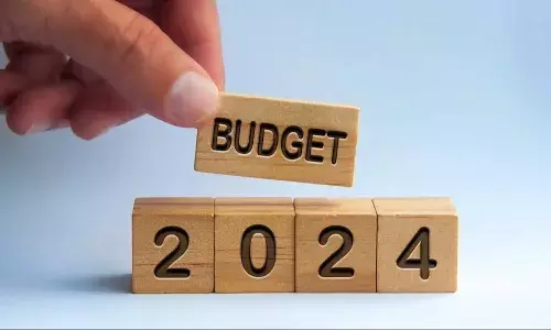 central government, interim budget, Budget 2024