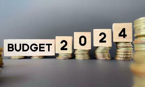 Budget 2024, finance minister, interim budget, National news