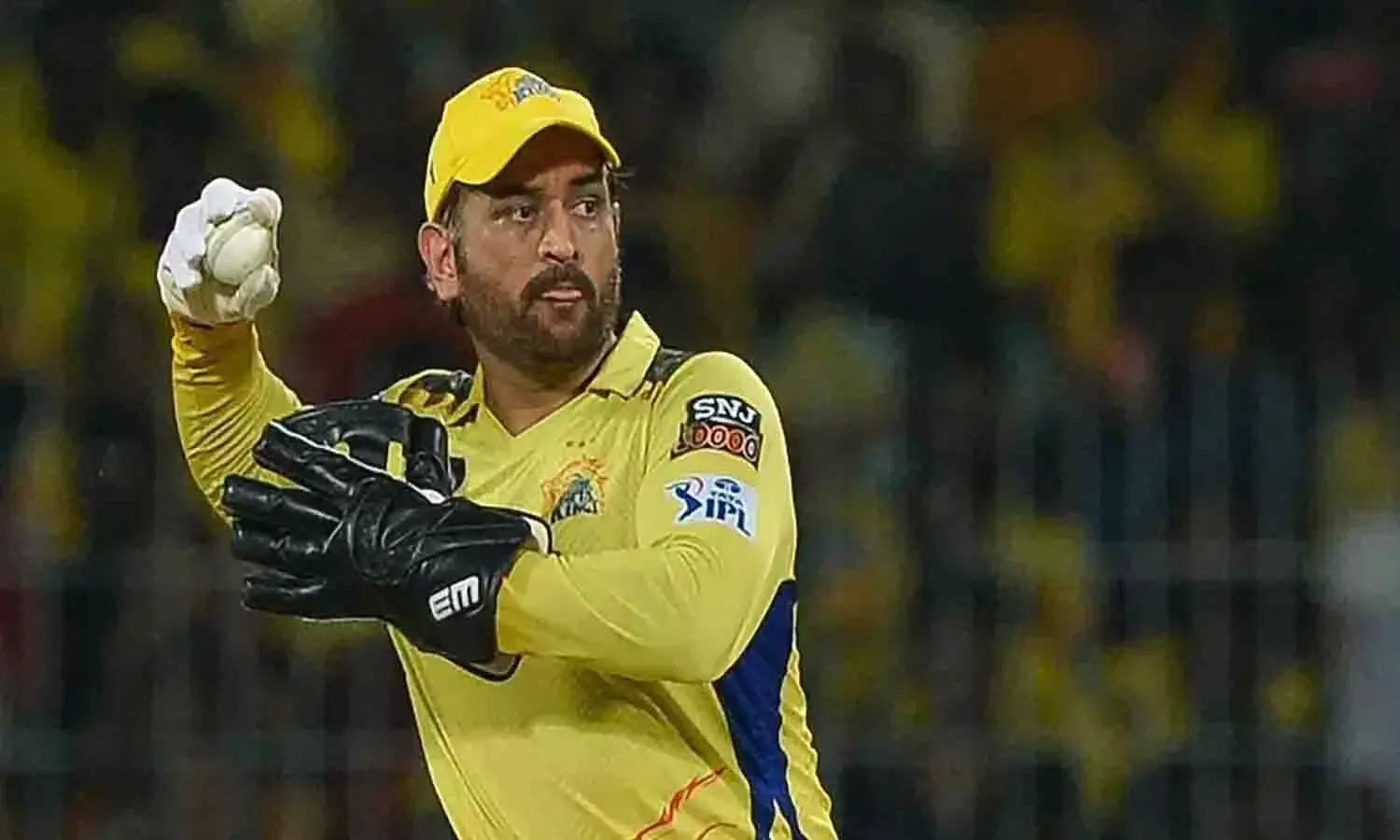 ధోనీ మరో 2-3 సంవత్సరాలు IPL ఆడుతాడు..!