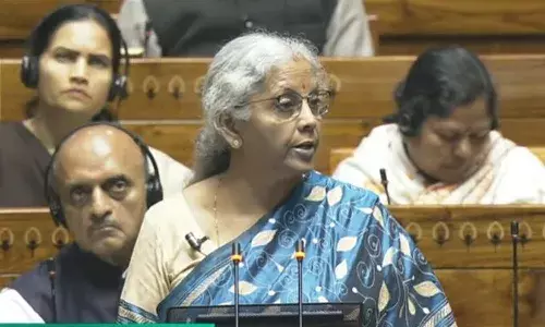 Union Minister Nirmala Sitharaman, budget 2024, Lok Sabha, National news