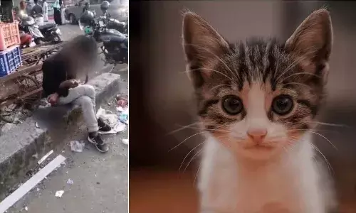 Assam youth,  hunger , cat, Kerala