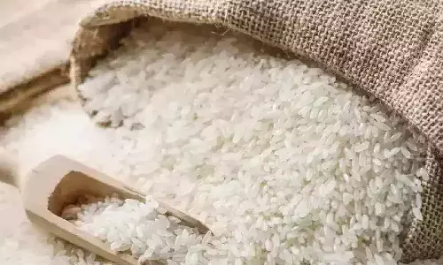 Central Govt, Bharat rice, consumers, National news