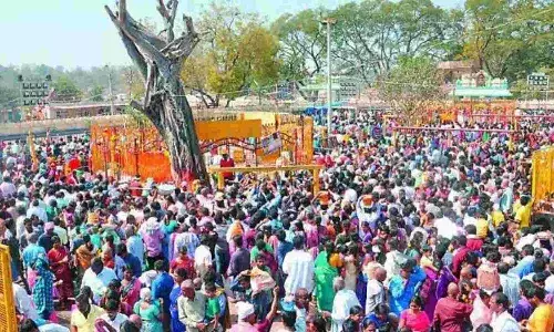 medaram jatara, prasadam, devotees,  book online,