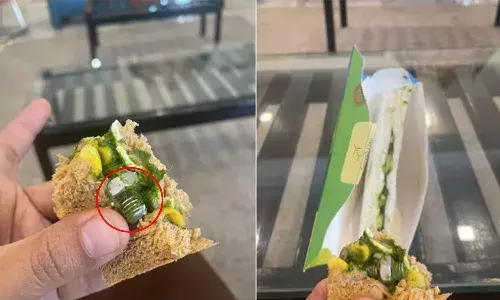 indigo flight, screw,  sandwich, viral news,