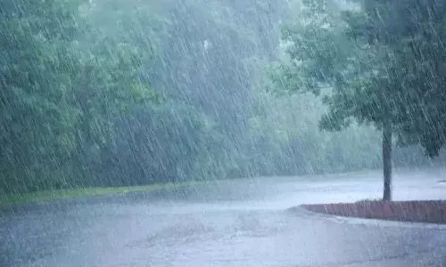 Meteorologists, rainfall, IMD, Bharat, National news