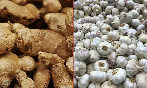 price, ginger, garlic, Veg market